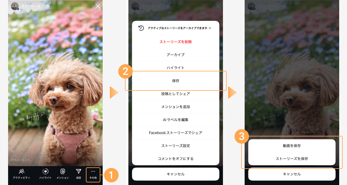ストーリーズ再生中に「その他」をタップし「保存」を選ぶと、「写真を保存」や「動画を保存」などのボタンが表示される