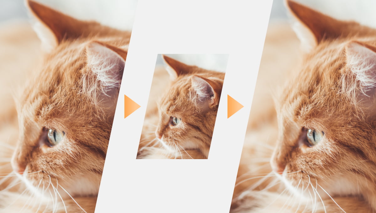 失敗を気にせず、安心して編集できる