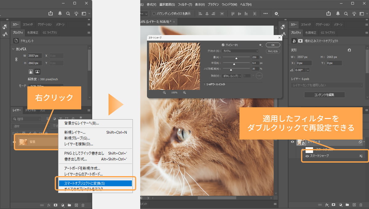 失敗を気にせず、安心して編集できる