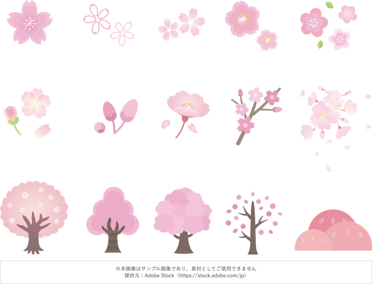 桜の花と木のイラストセット 背景透過