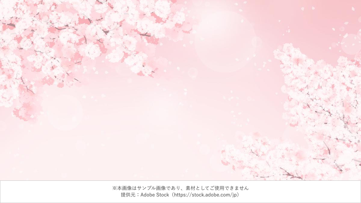 満開の桜と花びらが舞う春のピンク背景