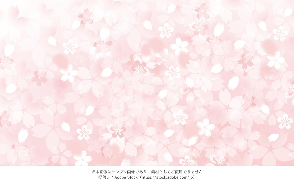 桜の花と花びらが敷き詰められたピンク背景