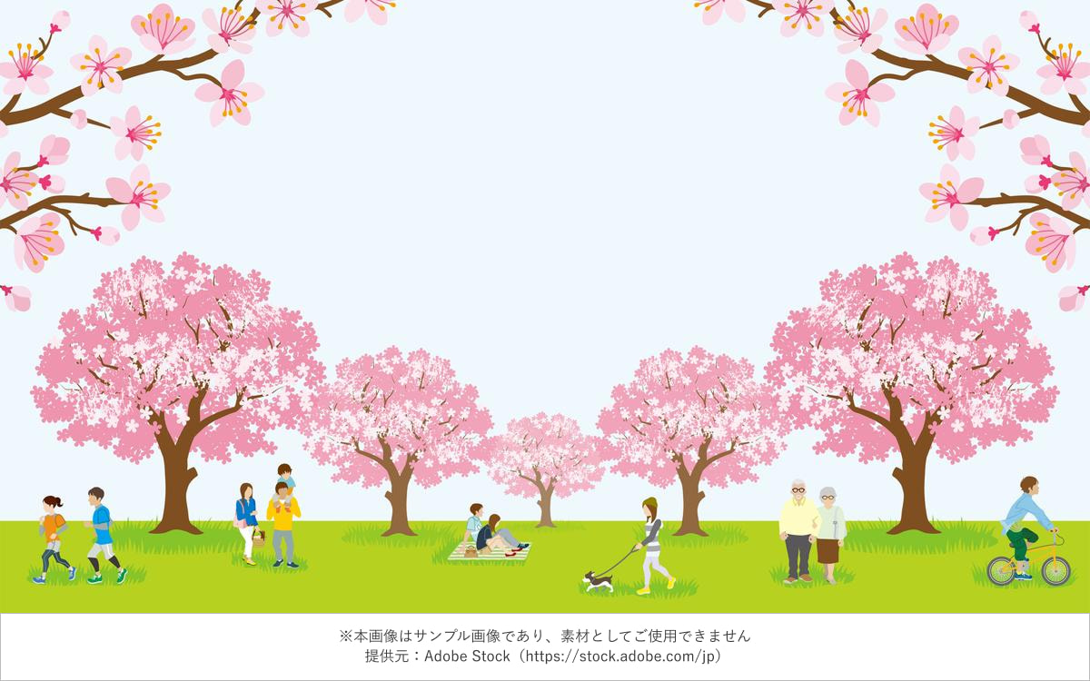 お花見を楽しむ人々と桜並木のイラスト
