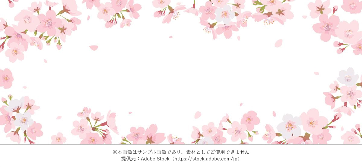 桜の花で囲まれたフレームイラスト 横長
