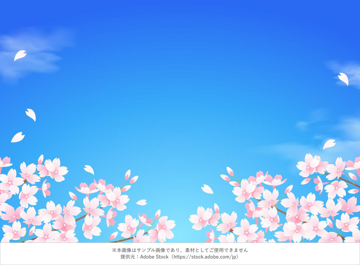 青空と桜の花が咲くイラスト背景
